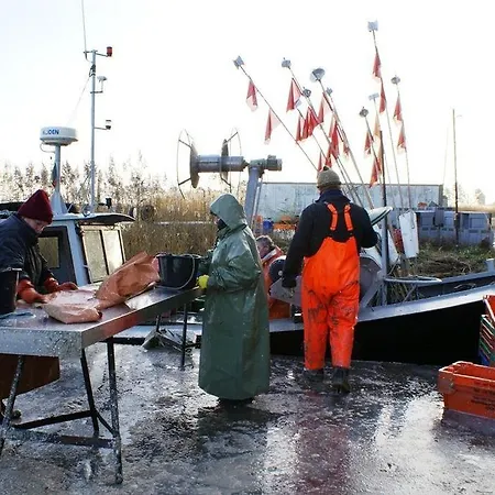 Ferienwohnung Abendrot Am See - 2 Rader Inklusive Sellin (Rugen)